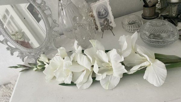 Vit Gladiolus med gröna blad och lång stjälk