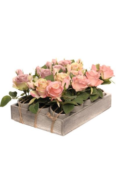 Vacker ros modell country i mindre modell och fin kruka och i tre olika dim rosa / lila nyanser