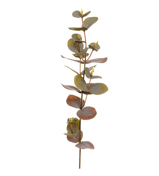 Eucalyptus kvist/gren i murrigt grön färgad nyans. Konstgjord med verklighetskänsla. Att dekorera med ensam eller tillsammans me