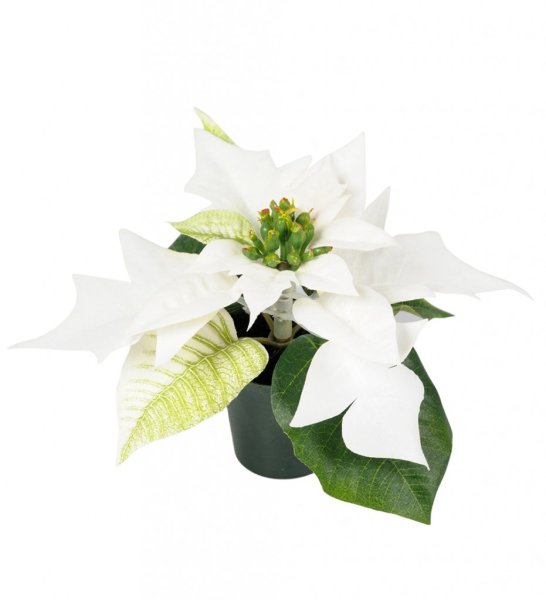 Vacker röd julstjärna i kruka mindre modell. Välarbetad och verklighetstrogen konstgjord modell i plastad innerkruka. Passande a