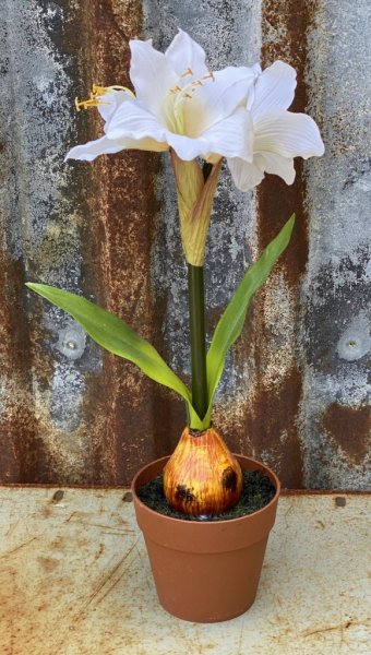 Vit vacker verklighetstrogen och välarbetad amaryllis i konstgjord modell. I mindre modell med flera vita klockor blommor och gr