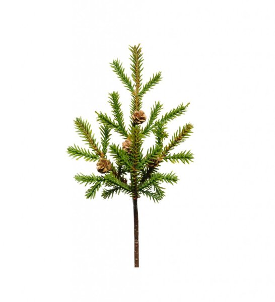 Liten flergrenad gran kvist / gren med en kottar. Att dekorera, pynta och pyssla med. I olika arrangemang i en vas ensam tillsa