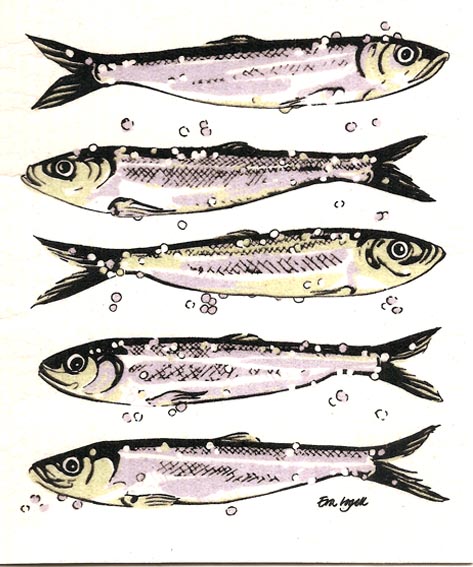 Disktrasa med strömmings motiv. Grå svarta fiskar på vit botten. I bra kvalité med bra uppsugnings kraft. Mäter 17*20cm