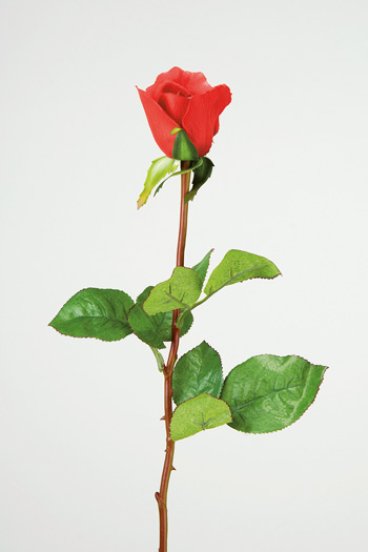 Vacker röd verklighetstrogen konstblomma ros i outslagen knoppig modell med skaft och blad. Att dekorera med ensam eller tillsa