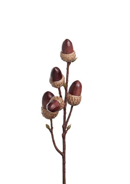 Natur trogen kvist /gren med ekollon. Att dekorera, pynta och pyssla med. Från Mr Plant mäter ca 30cm