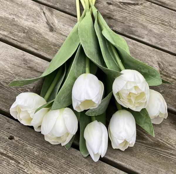 Vackra vit tulpan med krispig verklighets känsla och gröna blad. Levande modell som passar lika bra ensam i en vas som tillsamma