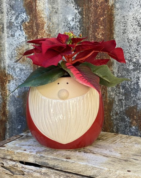 Söt tomte kruka Sven i skål modell. Går i vita och röda nyanser och passar lika bra till blommor som att lägga julgodis i. Tillv