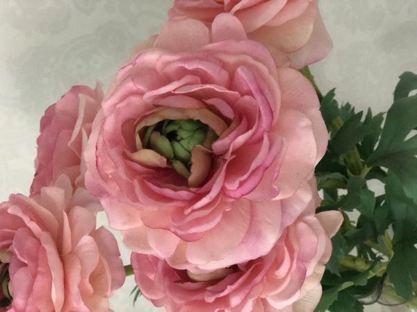 Vacker rosa ranunkel i stor utslagen modell med ljusgrön längre stjälk och ljusgröna blad. En levande välarbetad och detalj ful