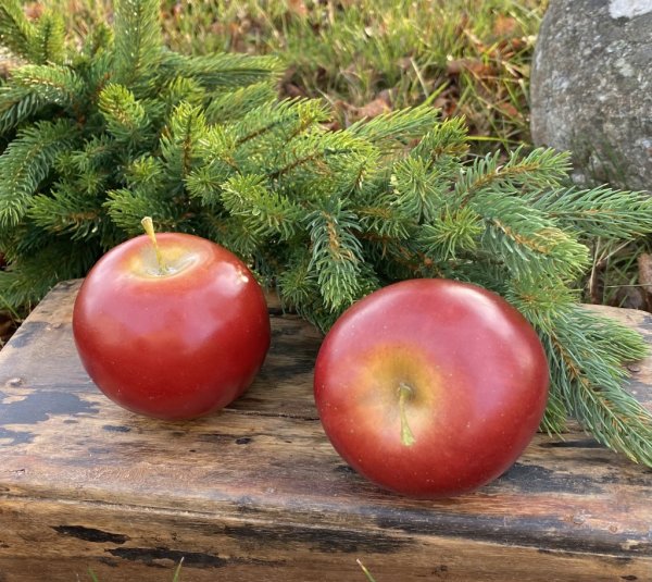 Rött större Äpplen att pynta och dekorera med. Välarbetade konstgjorda med verklighetstrogen känsla. Att fylla en frukt skål med