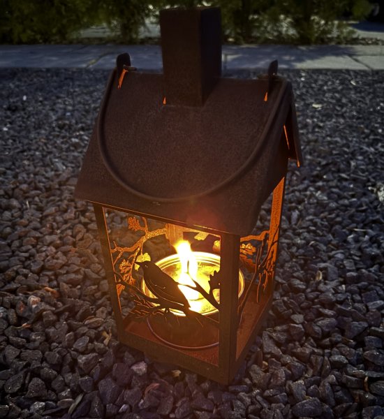 Lykta för ljus eller marschaller i rost med fåglar