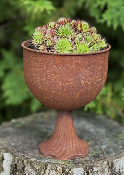 Fat / skål på fot i rost