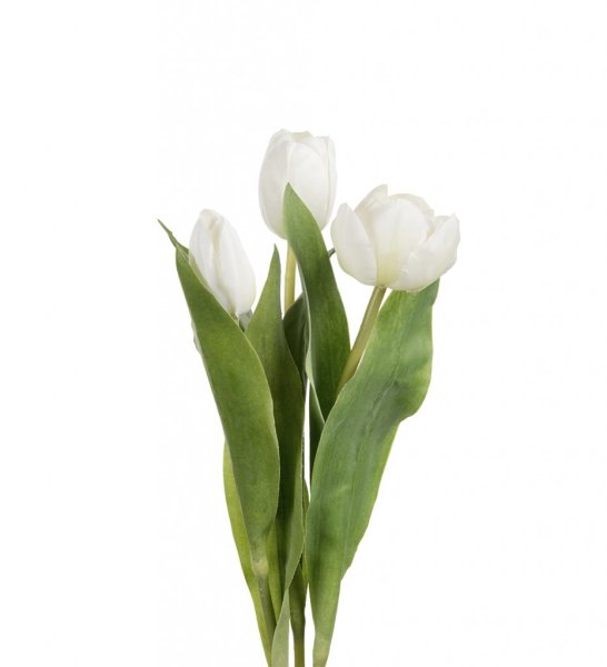 Vackra vit tulpan med krispig verklighets känsla och gröna blad. Levande modell som passar lika bra ensam i en vas som tillsamma