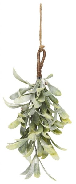 Mistel frost med gröna blad och vita bär. Vacker vinter modell med lätt frostad pudersnö. I liten bukett modell med snöre så man