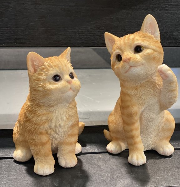 Söt gul och vit katt / kattunge att dekorera med. I lite större modell med fina verklighetstrogna detaljer. Finns i två variante