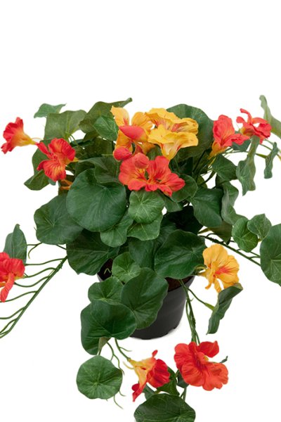 Vacker krasse konstblomma/ växt med blommor och gröna blad. Står i en plastad innerkruka som med fördel kan ställas i en större