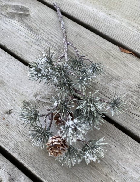 Grön lärk kvist / gren dekorerad med kotte och lätt pudersnö / is/frost kristaller, att dekorera, pynta och pyssla med. I olika