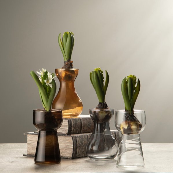 Brun vas / hyacintvas i glas. Klassisk modell som passar lika bra till andra blommor och lökar också. Finns i två nyanser -Mörkb