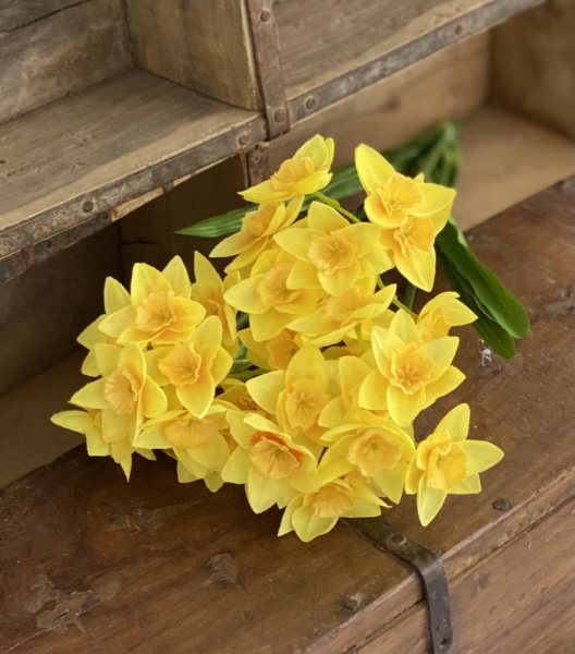 Vår vacker bukett med gula Narciss / påskliljor. I modell som gör sig fint i en vas , i en bukett/arrangemang ensam eller tillsa