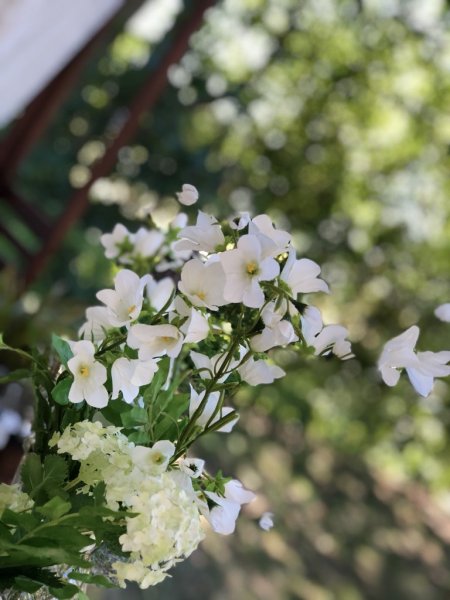 Sommar vacker vit blåklocka med flera blommor . Verklighetstrogen konstblomma med skaft och blad. Att dekorera med ensam eller