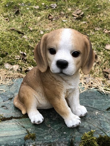 Söt hundvalp att dekorera med. I lite större modell med fina verklighetstrogna detaljer. Finns i flera olika varianter/raser. -M