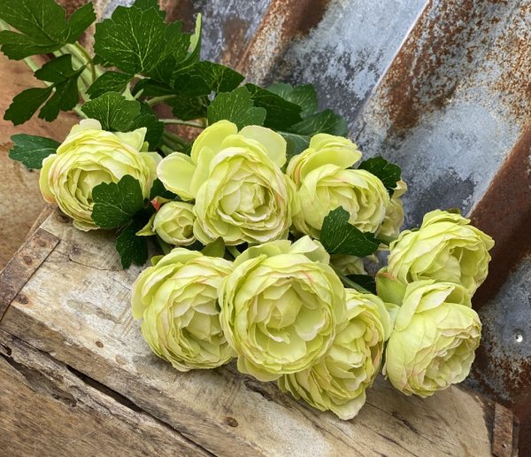 Ranunkel kvist i bukett modell med flera blommor och gröna blad. Blommorna går i en mjuk gul nyans. Välarbetad, verklighetstroge