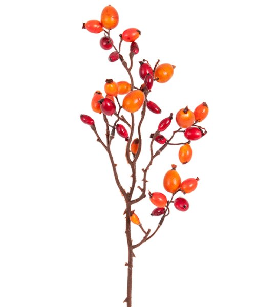Nypon på kvist/gren. Att dekorera med som den är eller tillsammans med andra kvistar, grenar eller blommor. Välarbetad och vacke