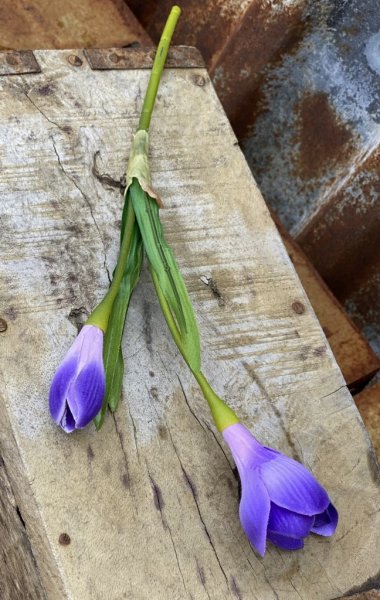 Krokus med dubbla blommor i snitt modell. Konstgjord modell med hög verklighetstrogen känsla. Finns i tre nyanser -Lila -Vit -Gu