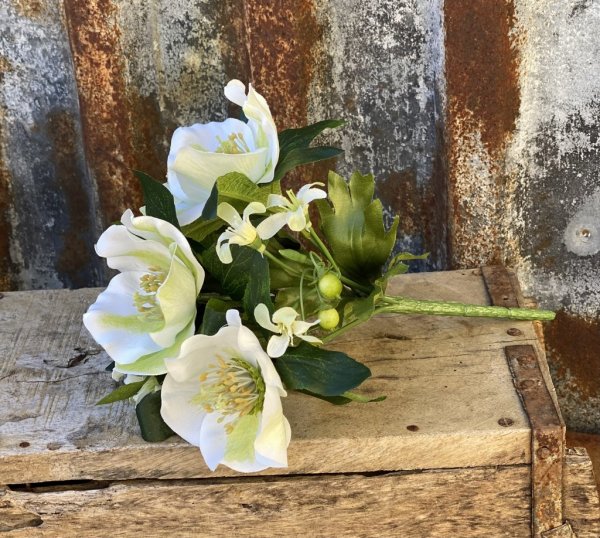 Vacker bukett med bla vita julrosor och bär omgiven av gröna blad. En bukett som gör sig lika bra i en vas som en kruka ensam el