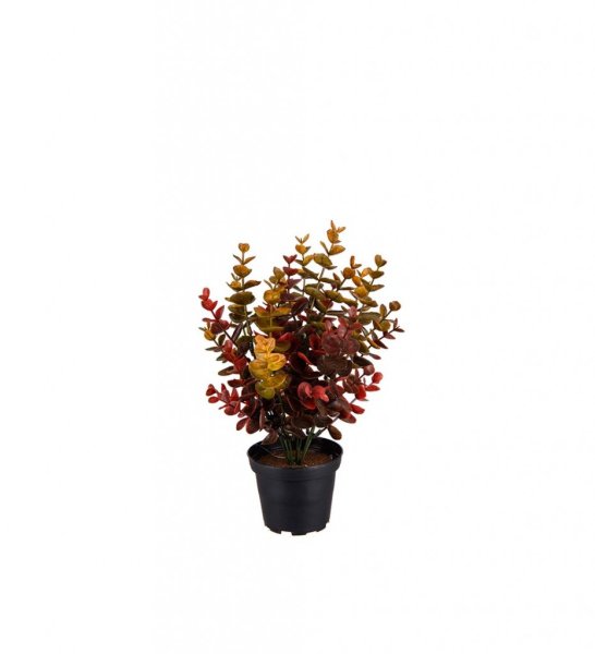 Höst Eucalyptus i kruka . Elegant i en härlig färgmix av höstens nyanser. Välarbetade i verklighetstrogen konstgjord modell. Lev