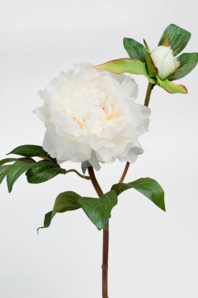 Stor vit pion gren/kvist med blomma, knopp och blad. Stor i fyllig modell med lång stjälk, välarbetad och verklighetstrogen kons