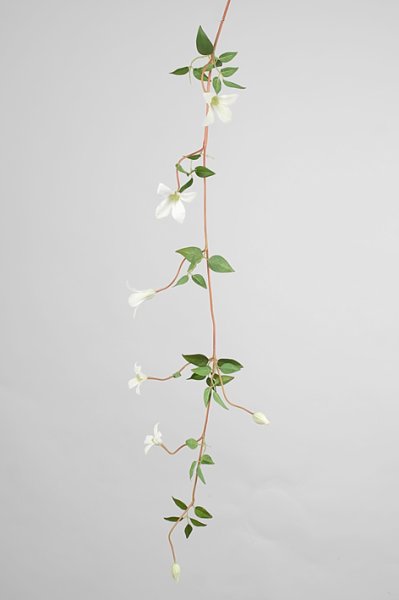 Vacker och verklighetstrogen clematis girlang med vita blommor. Att pynta, dekorera och duka med tex. Lägga, vira, linda, sling