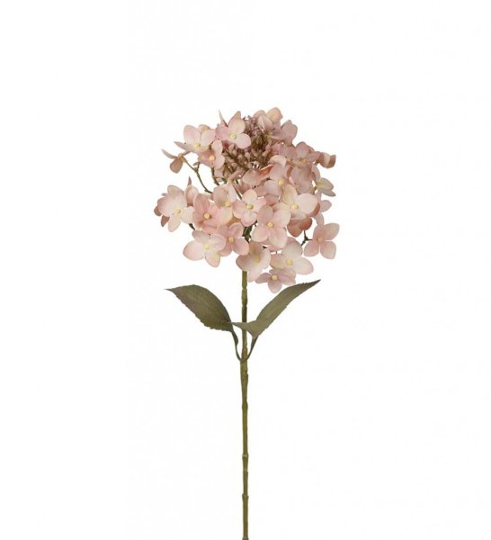 Hortensia i mjuk rosa nyans och gröna blad. Välarbetad och verklighetstrogen konstblomma. I kvist/gren modell om en blomma omgi