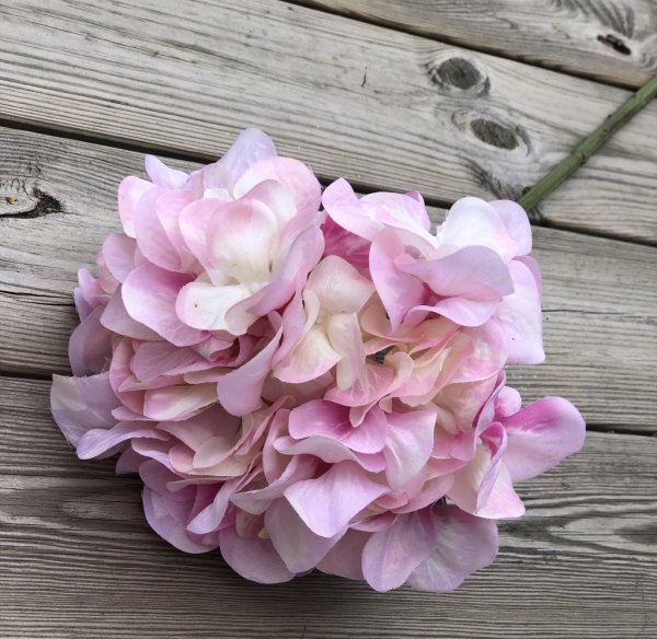 Hortensia i ljus rosa nyanser och gröna blad. Välarbetad och verklighetstrogen konstblomma. I kvist/gren modell om en blomma omg
