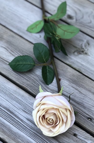Vacker ros med lång stjälk, gröna blad och fyllig stor cream färgad blomma. Välarbetad vacker konstgjord ros med hög verklighets