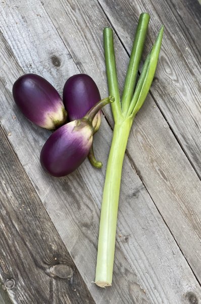 Aubergine i större vacker modell att pynta och dekorera med. Välarbetad konstgjord med verklighetstrogen känsla. Att fylla en fr