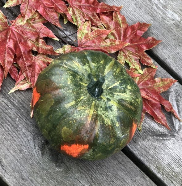 Grön och orange höst pumpa i verklighetstrogen, välarbetad, konstgjord modell. Att dekorera och pynta med, ensam eller i ett arr