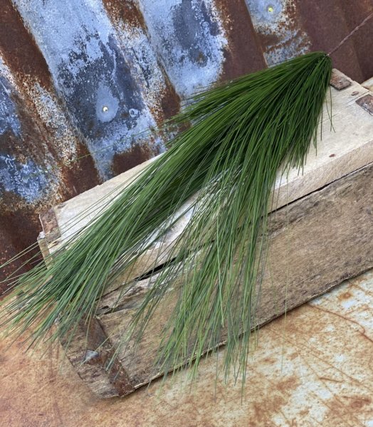 Grönt gräs i kvist/bukett modell. Fyllig fin modell som passar som utfyllnad i en bukett eller arrangemang men även i en vas då