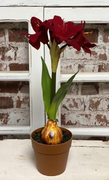 Röd vacker verklighetstrogen och välarbetad amaryllis i konstgjord modell. I mindre modell med flera vita klockor blommor och gr