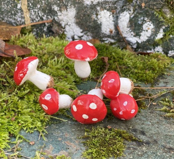 Små svampar flugsvampar att dekorera, pynta och pyssla med . Välarbetade och verklighetstrogna i konstgjord modell Svamparna var