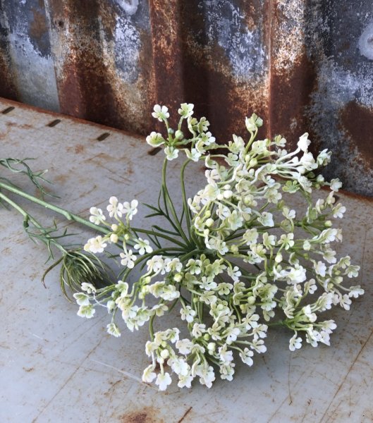 Vacker vit Allium blomma i högre större utslagen modell. En vacker blomma som gör sig lika vacker ensam som till utfyllnad i en