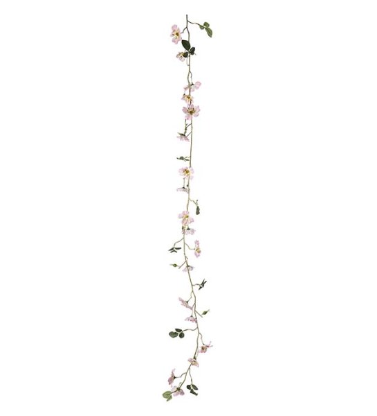 Girlang med Japansk klätterros 