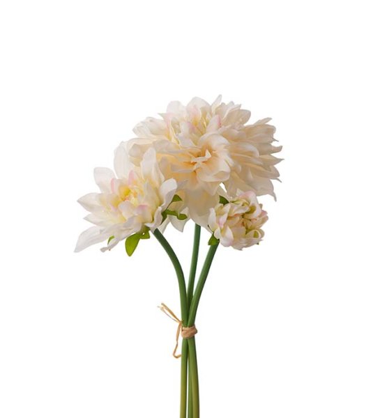 Dahlia bukett med flera blommor