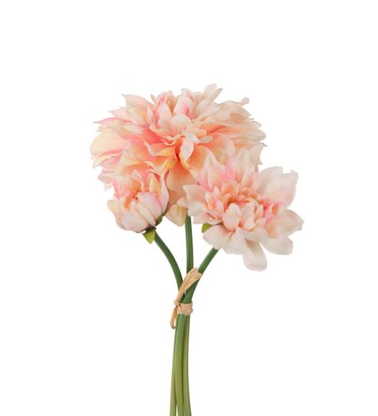 Dahlia bukett med flera blommor