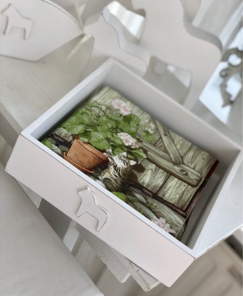 Vackra servetter Pelargoniakatt med motiv av en nyfiken katt unge med en klassisk pelargon i lerkruka. Färgfulla och detalj fu