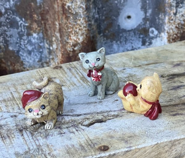 Katter, söta lekfulla kattungar i mindre modell att dekorera med. Finns i tre olika modeller -Gul -Grå -Brun Att dekorera med en