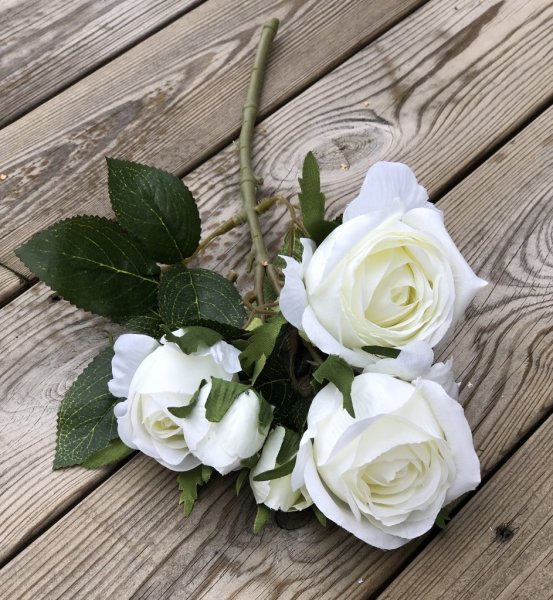 Vit ros buskros i bukett modell. Med flera blommor och gröna blad. Lika vacker att ha ensam i en vas eller flera tillsammans i e