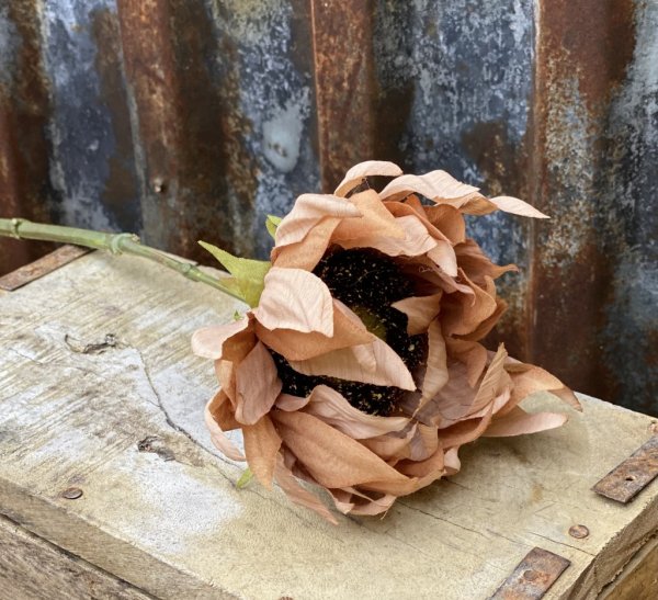 Solros i vacker höst inspirerad torkad modell. Natur trogen och välarbetad konstgjord blomma. Finns i två nyanser -Brun -Beige L