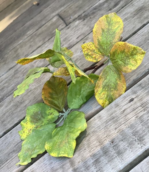 Kvist i bukett modell med rundade blad i vackra gröna nyanser. Verklighetstrogen och fint nyans skiftande med små insekts hål