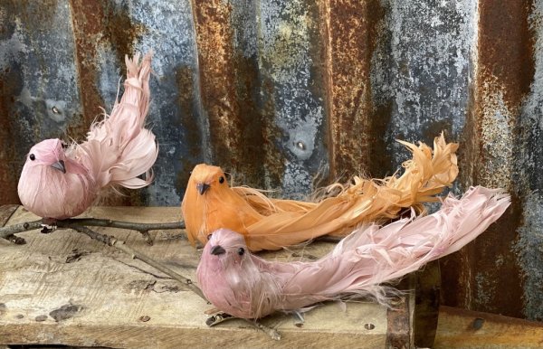 Vacker stor fågel i mjuka färger med fjäder skrud att dekorera med. Finns i tre olika nyanser -Aprikos -Rosa -Rosa/Lila Varje få