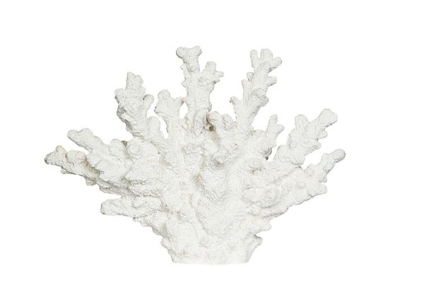 Stående vit korall till dekoration. I livfull detaljrik modell på en liten fot. Finns i två storlekar -Större -Mindre Lika fina